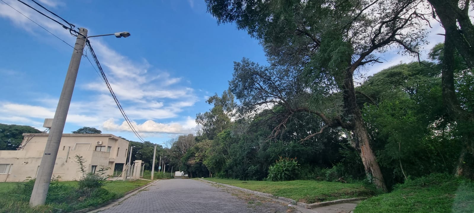 d64e050b-9fba-49d5-afc5-1bfdce006ec0