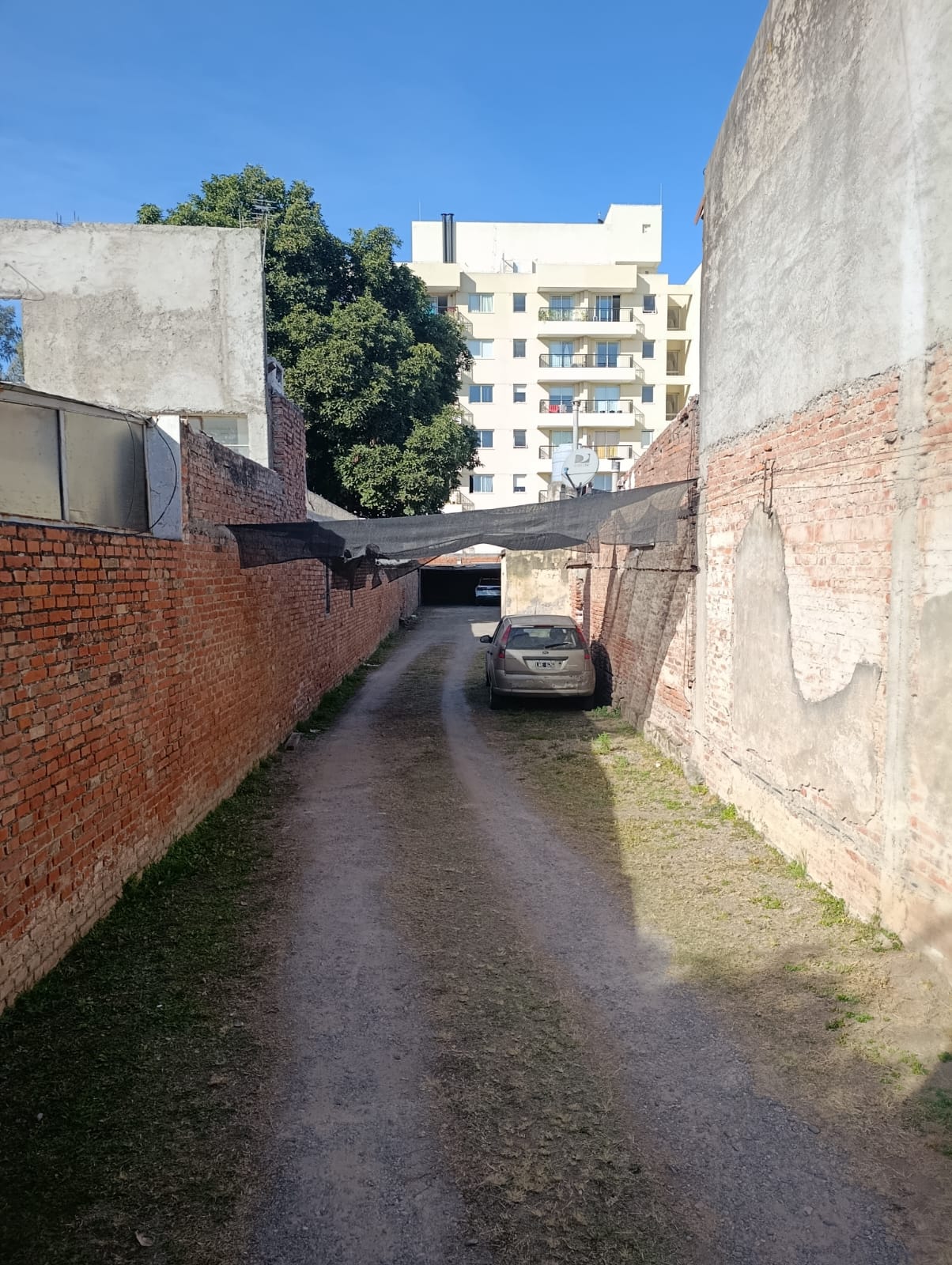 WhatsApp Image 2025-10-06 at 11.13.50 (2)