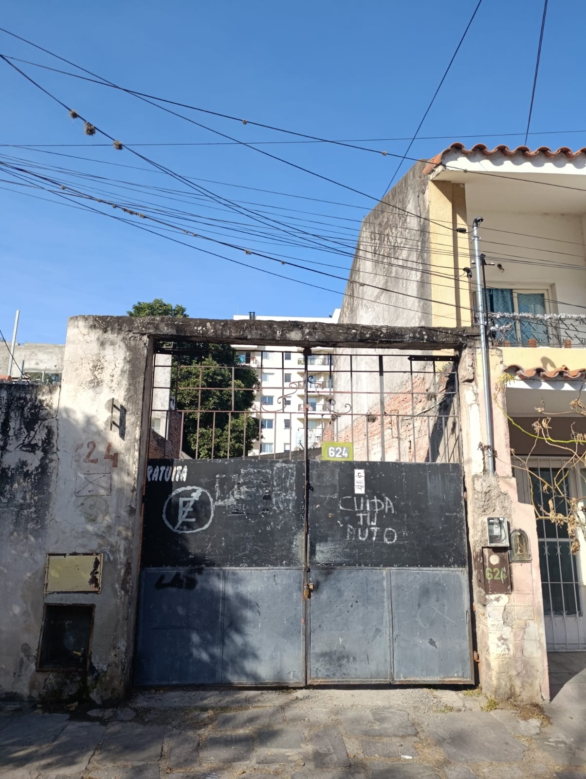 WhatsApp Image 2025-10-06 at 11.13.50