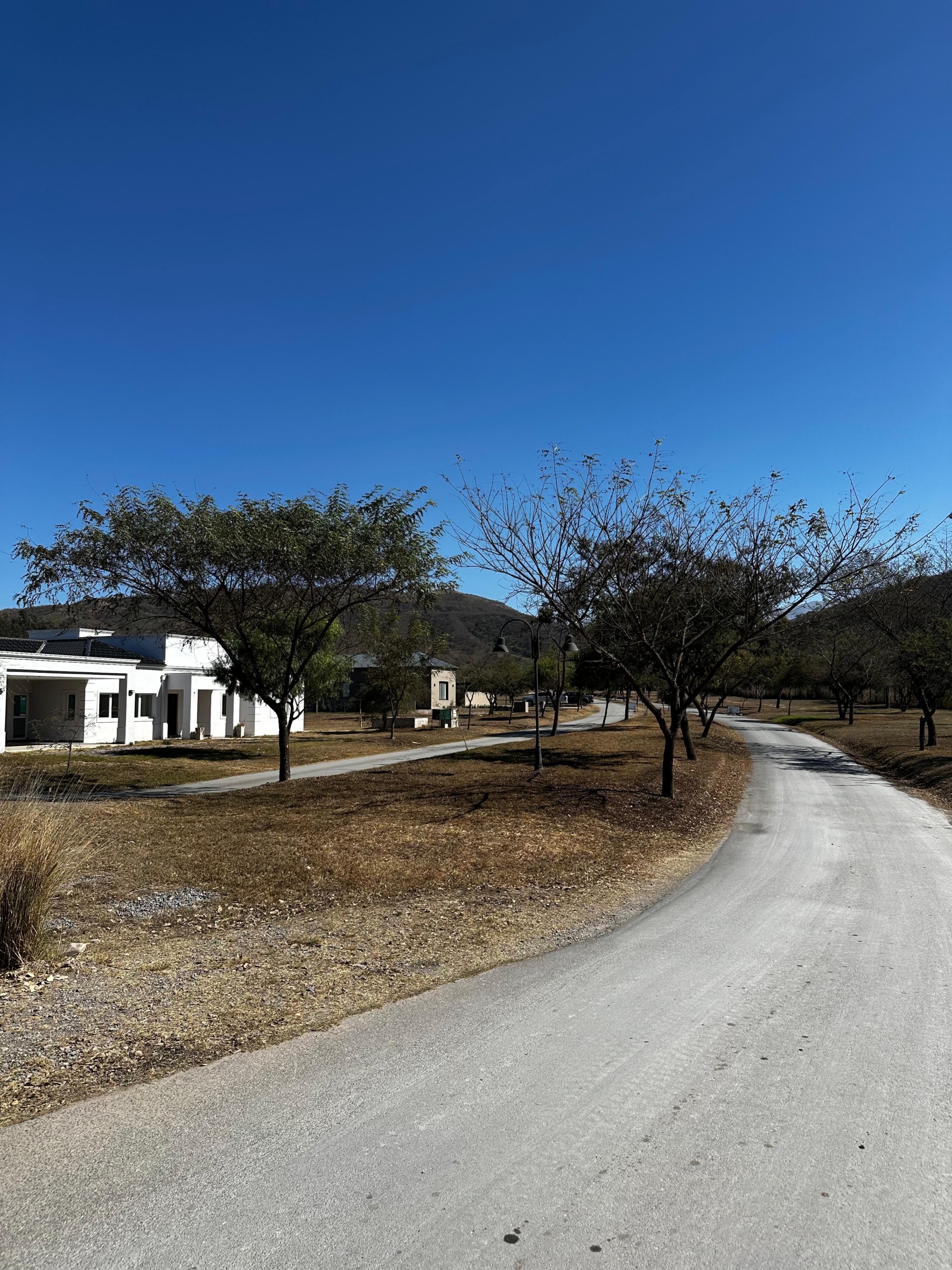 bd8e8e56-8558-4905-9cf8-6bd17666c7d7