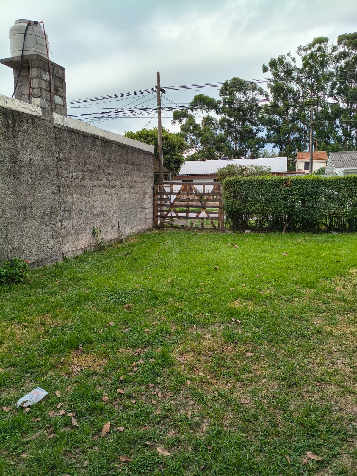 06020611-c7fa-4ece-ad13-99876c1b06f2